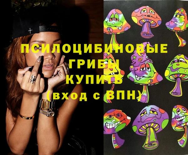 МДПВ Абдулино