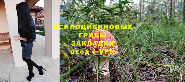 МДПВ Абдулино