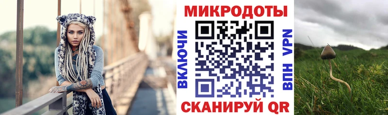Галлюциногенные грибы Psilocybine cubensis  Касимов 